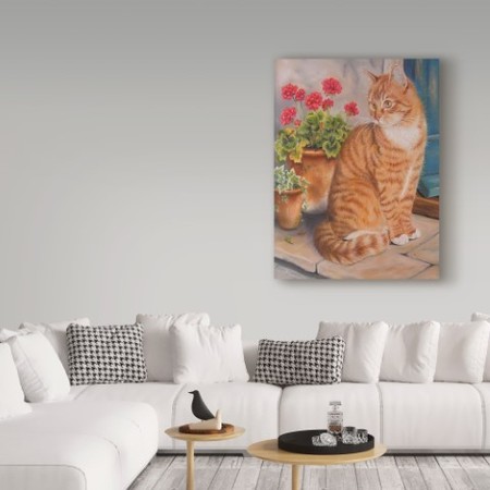 Trademark Fine Art Janet Pidoux 'Ginger Cat On Doorstep' Canvas Art, 24x32 ALI36628-C2432GG